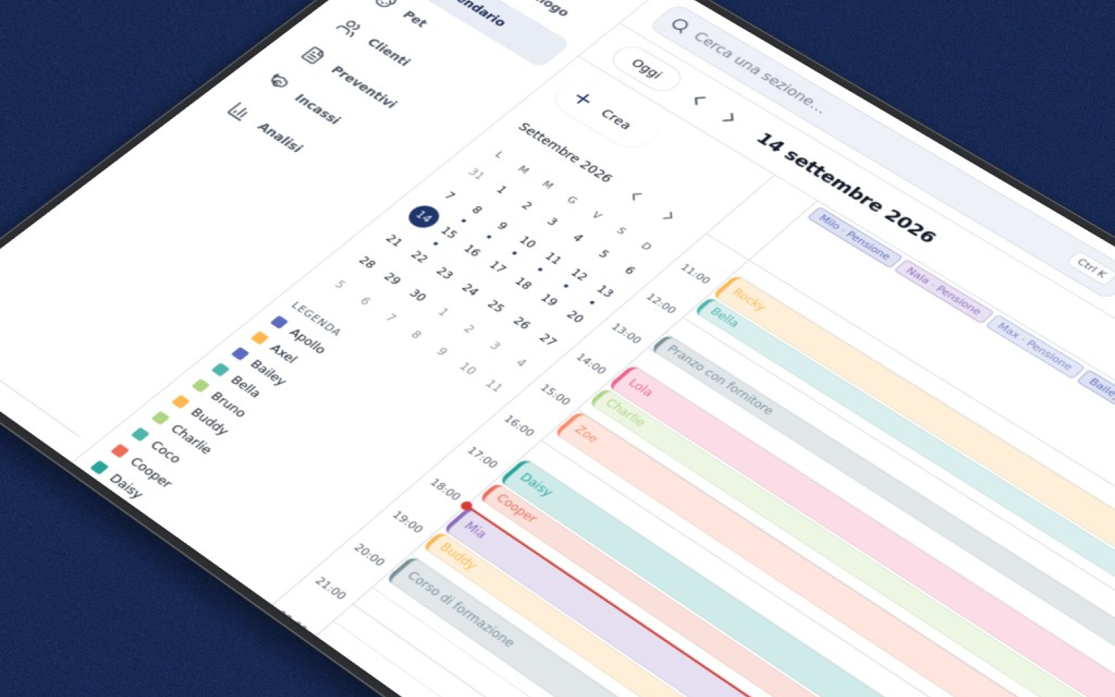 Anteprima web application e piattaforma